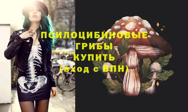 МДПВ Горно-Алтайск